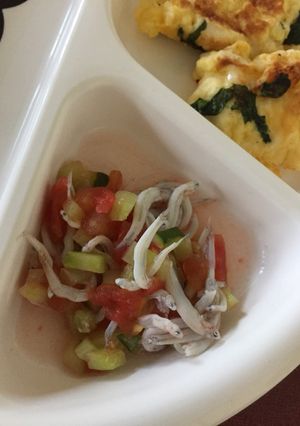 お手軽★幼児食 夏野菜としらすの煮込み-レシピのメイン写真