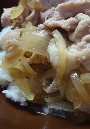 簡単に豚丼-レシピのメイン写真