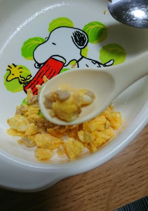 離乳食後期※簡単煎りたまご-レシピのメイン写真