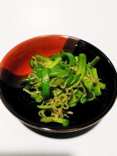 万願寺唐辛子 じゃこ炒め-レシピのメイン写真