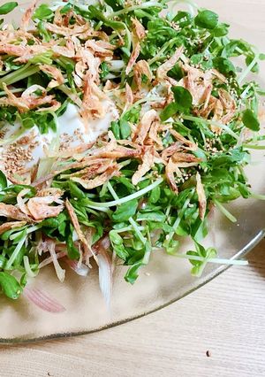 豆苗と豆腐と干しエビのサラダ-レシピのメイン写真