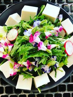 水菜のゴマ紫蘇ぽんサラダ-レシピのメイン写真