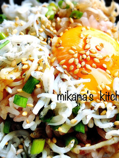 ランチに♪♪簡単♪♪釜揚げしらす丼♪♪-レシピのメイン写真