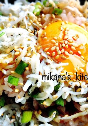 ランチに♪♪簡単♪♪釜揚げしらす丼♪♪-レシピのメイン写真