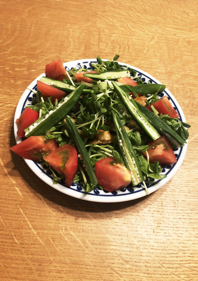 豆苗とかいわれ大根のサラダちくわエリンギ-レシピのメイン写真