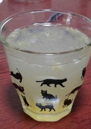 柿酒のソーダ割り-レシピのメイン写真