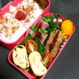 娘のお弁当 ピーマンのカリカリ梅おかか