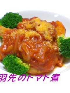 鶏手羽先のトマト煮-レシピのメイン写真