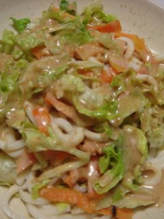 ごまだれ☆サラダうどん-レシピのメイン写真
