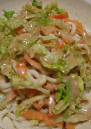 ごまだれ☆サラダうどん-レシピのメイン写真