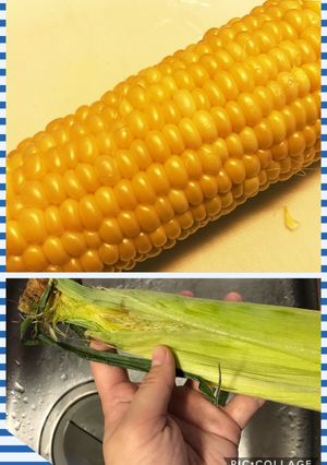 絶品!!皮ごとレンジで簡単！とうもろこし-レシピのメイン写真