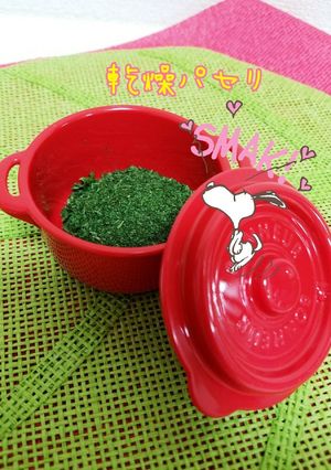 簡単手作り乾燥パセリ-レシピのメイン写真