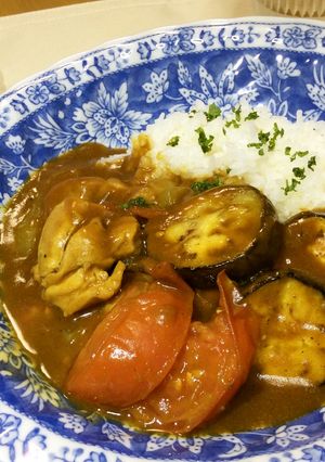 鳥もも肉と夏野菜のスパイシーカレー-レシピのメイン写真