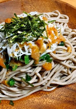 梅しらす蕎麦-レシピのメイン写真