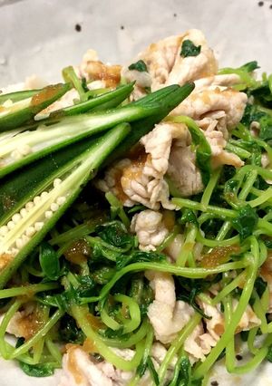 簡単豆苗と豚の冷しゃぶサラダ-レシピのメイン写真