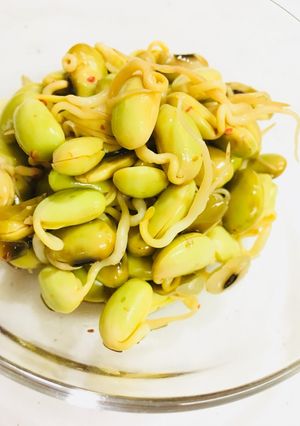 常備菜♡自家栽培 豆もやしのピリ辛和え-レシピのメイン写真