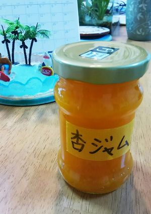 作りたくなる杏ジャム-レシピのメイン写真
