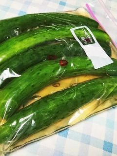 きゅうりのピクルス-レシピのメイン写真