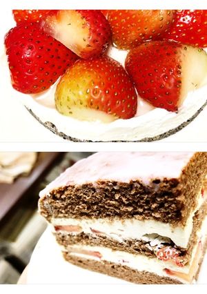 チーズムース・レアチーズ-レシピのメイン写真