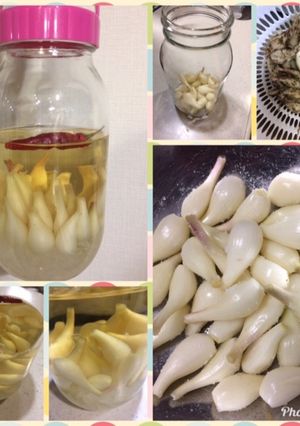 らっきょう甘酢漬け-レシピのメイン写真