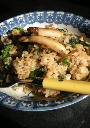 きのこでごまかせ!！かさ増し和風炒飯-レシピのメイン写真