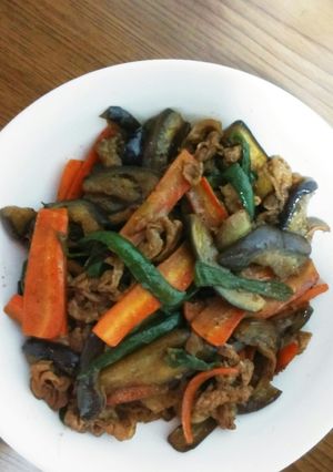 ナスと豚バラの炒めもの(回鍋肉の素)-レシピのメイン写真