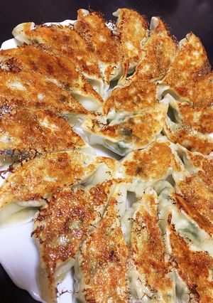 我が家の白菜餃子-レシピのメイン写真