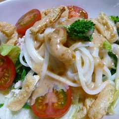 รูปของ サラダうどん