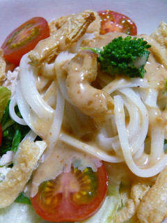 サラダうどん-レシピのメイン写真
