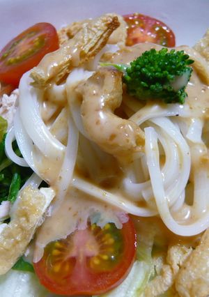 サラダうどん-レシピのメイン写真