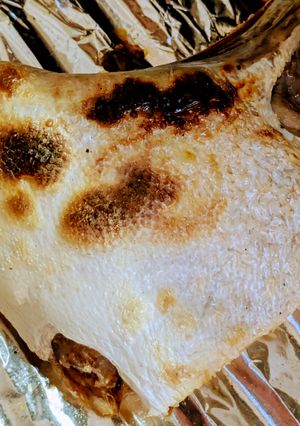 中までむらなく塩味、ふっくら鰤かま塩焼き-レシピのメイン写真