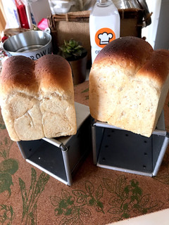 オーバーナイトde☆全粒粉パン-レシピのメイン写真