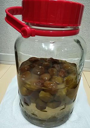 簡単！失敗なしのお手軽梅シロップ-レシピのメイン写真