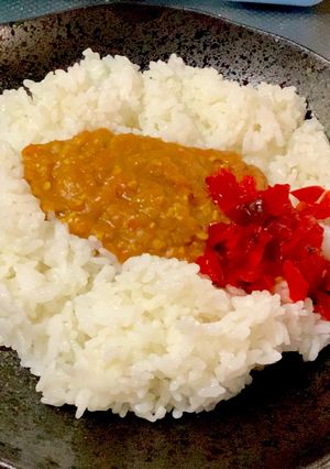 ヘルシー♡大豆と挽肉のドライカレー【改】-レシピのメイン写真