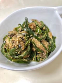 ピーマンとサバ味噌煮缶の炒め物-レシピのメイン写真