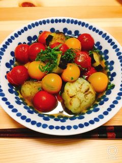 ナスとトマトのさっぱりサラダ-レシピのメイン写真