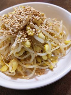 韓国パンチャン 豆もやしナムル-レシピのメイン写真