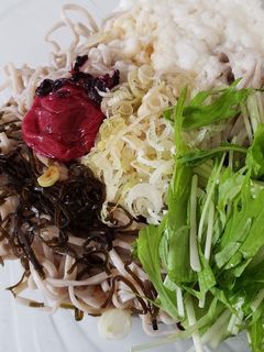 さっぱり夏麺しそ梅塩昆布冷やし蕎麦-レシピのメイン写真