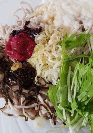 さっぱり夏麺しそ梅塩昆布冷やし蕎麦-レシピのメイン写真