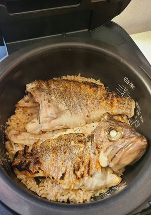 鯛めしならぬ！ソイ飯！！-レシピのメイン写真