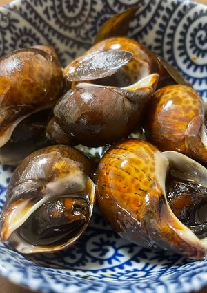 ばい貝の煮付け-レシピのメイン写真