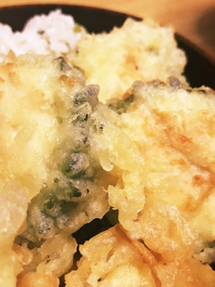 自家製ゴーヤーの肉詰め揚げ-レシピのメイン写真