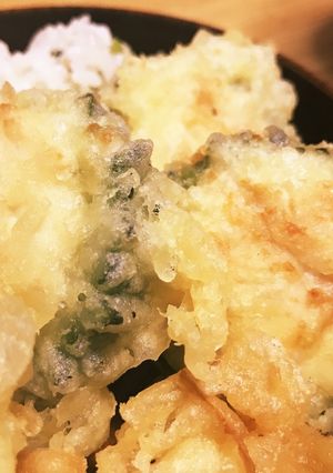 自家製ゴーヤーの肉詰め揚げ-レシピのメイン写真