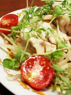 レンジで簡単♪エスニック風もやしと蒸し鶏-レシピのメイン写真