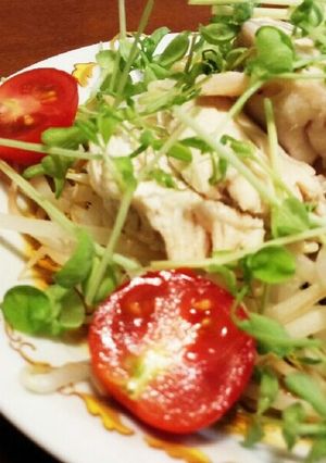 レンジで簡単♪エスニック風もやしと蒸し鶏-レシピのメイン写真