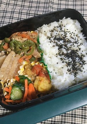 普通に(._.)おかずモリモリパパ弁-レシピのメイン写真