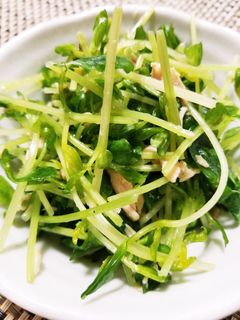 *豆苗とツナのサラダ*-レシピのメイン写真