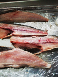 生ホッケ 塩焼き-レシピのメイン写真