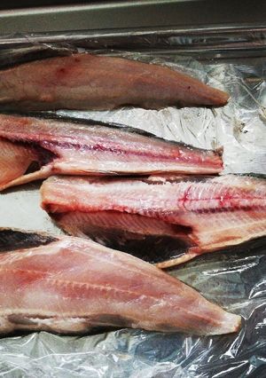 生ホッケ 塩焼き-レシピのメイン写真