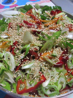 たっぷりサラダ、冷やし麺-レシピのメイン写真